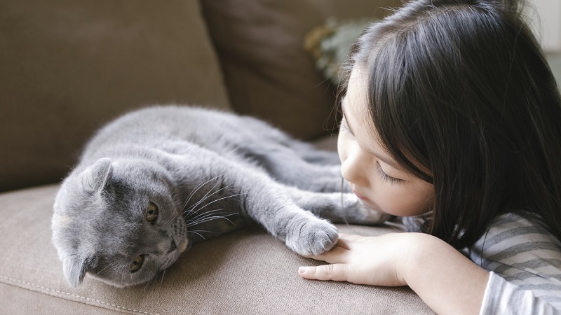 Girl hugging cuddling with a kitten.