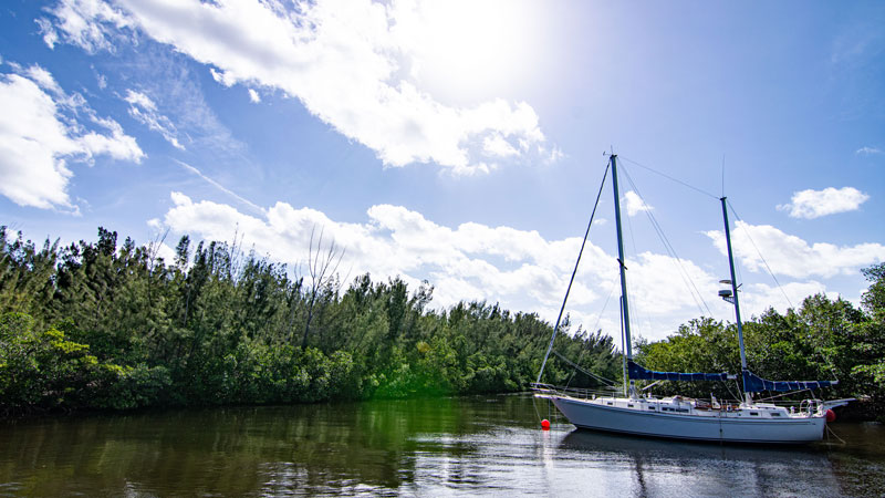 A pelican in the foreground of the Downtown Miami skyline.
