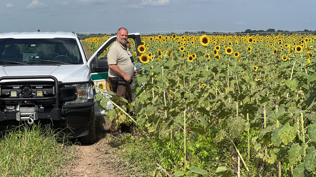 MDSO sergeant stands beside patrol truck in a sunflower field while monitoring Miami-Dade farmland.