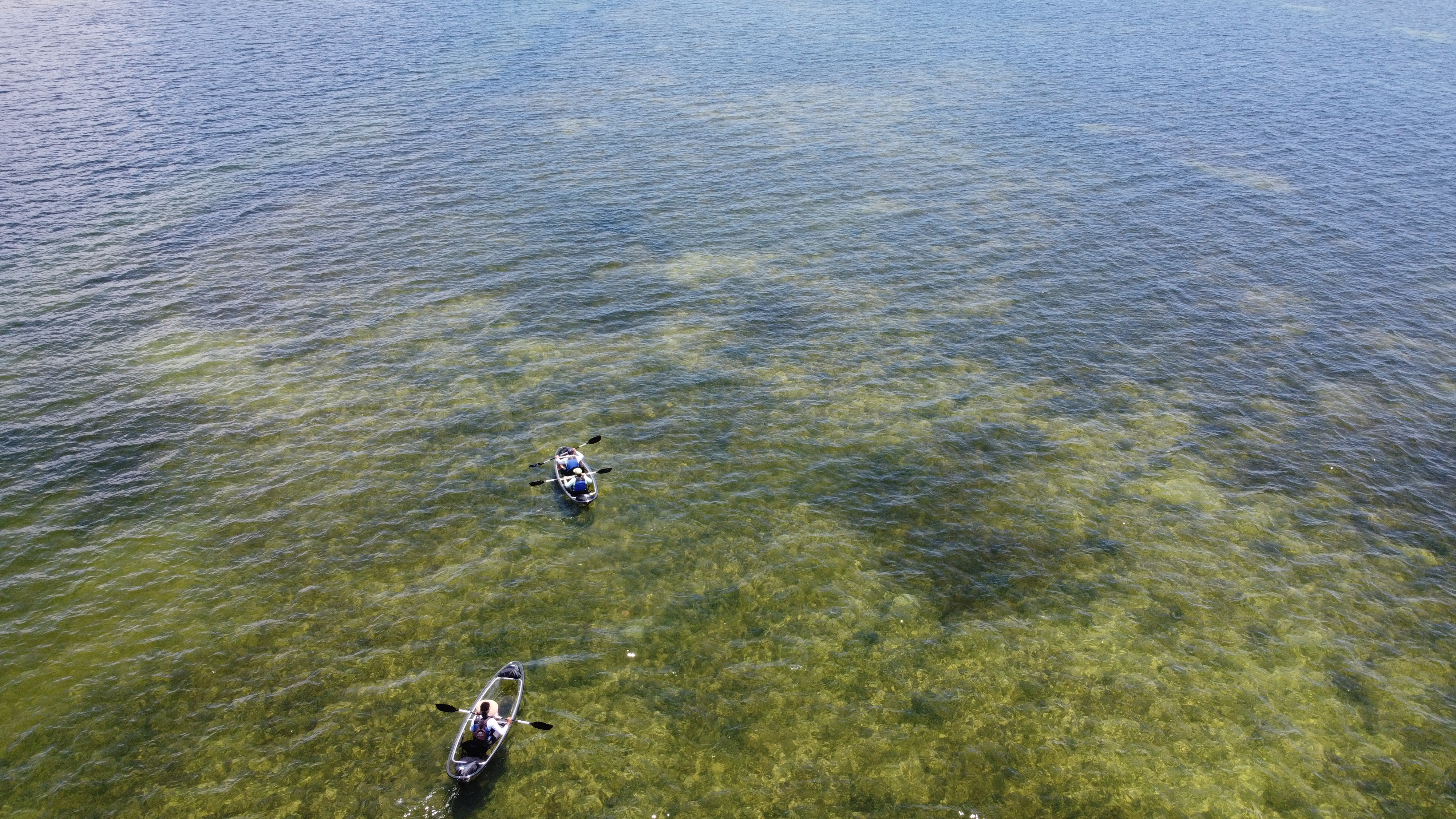 People on a kayaking adventure.